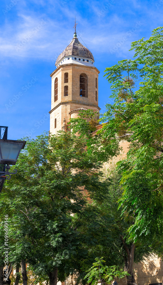 Obraz premium A tall tower with a cross on top stands in front of a green tree. Sacred Chapel of the Savior in Ubeda, Spain