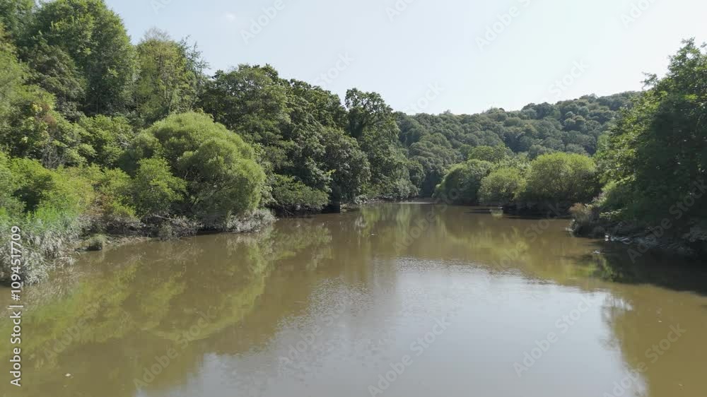 Aerial view flying along the River Tamar in Cornwall, capturing greenery and natural beauty on a summer afternoon Aerial view flying along the River Tamar in Cornwall, capturing greenery and natural beauty on a summer afternoon