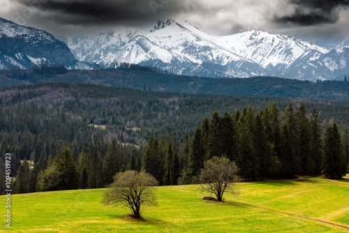 Obraz na płótnie Widok Na Tatry z Łapszanki w salonie