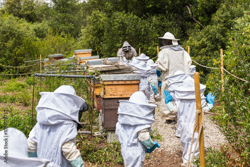 School kids in beekeeping gear heading to beehives on a field trip to learn about honey production and beekeeping