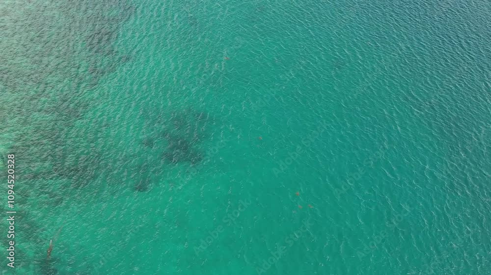 Blue Ocean's Ripple from Top View