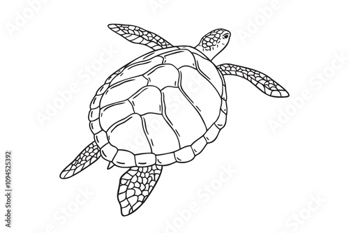 Stripes sea turtle swimming. realistic sea turtle doodle hand drawn isolated line black icon 