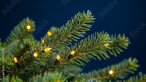 Fresh green pine branches adorned with warm, glowing lights during the holida...