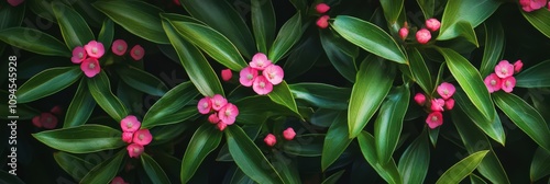 Vibrant pink flowers bloom among lush green leaves in a natural setting