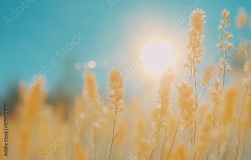 Bright yellow flowers bloom against a vibrant blue sky during springtime