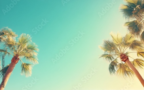 Palm trees swaying under a bright blue sky in a sunny tropical location