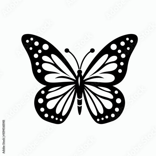 butterfly on white background