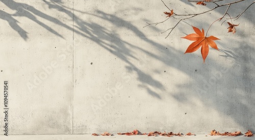Autumn leaves casting shadows on a textured wall in soft sunlight