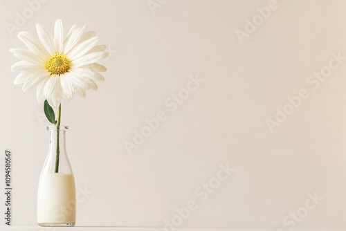 A single daisy in a glass vase filled with milk on a soft background.