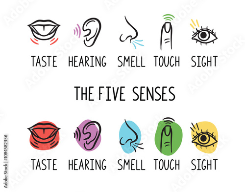 5 human senses illustrations. Taste, sight, touch, smell and hearing. Tongue, eye, finger, nose and ear. Trendy doodle hand drawn thin line icon 