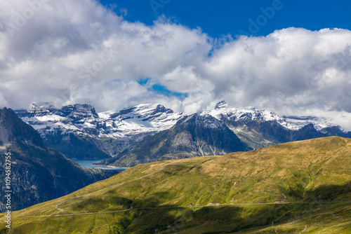 Tour du Mont Blanc beautiful landscapes in the Alps mountains on a sunny summer day. Green grass on the alpine meadow surronded by high mountain peaks of Montbalnc alpine range