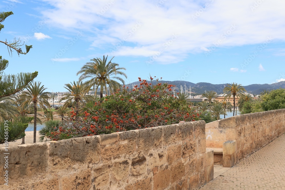 Naklejka premium Blick in die Altstadt von Palma de Mallorca 
