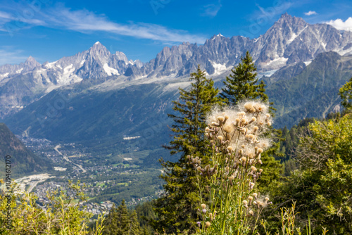 Tour du Mont Blanc beautiful landscapes in the Alps mountains on a sunny summer day. Green grass on the alpine meadow surronded by high mountain peaks of Montbalnc alpine range photo