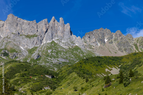 Tour du Mont Blanc beautiful landscapes in the Alps mountains on a sunny summer day. Green grass on the alpine meadow surronded by high mountain peaks of Montbalnc alpine range photo