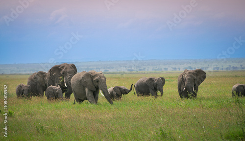 Simiyu is an administrative region of Tanzania. It was created in March 2012, being until then part of the Shinyanga Region. Its capital is the city of Bariadi.