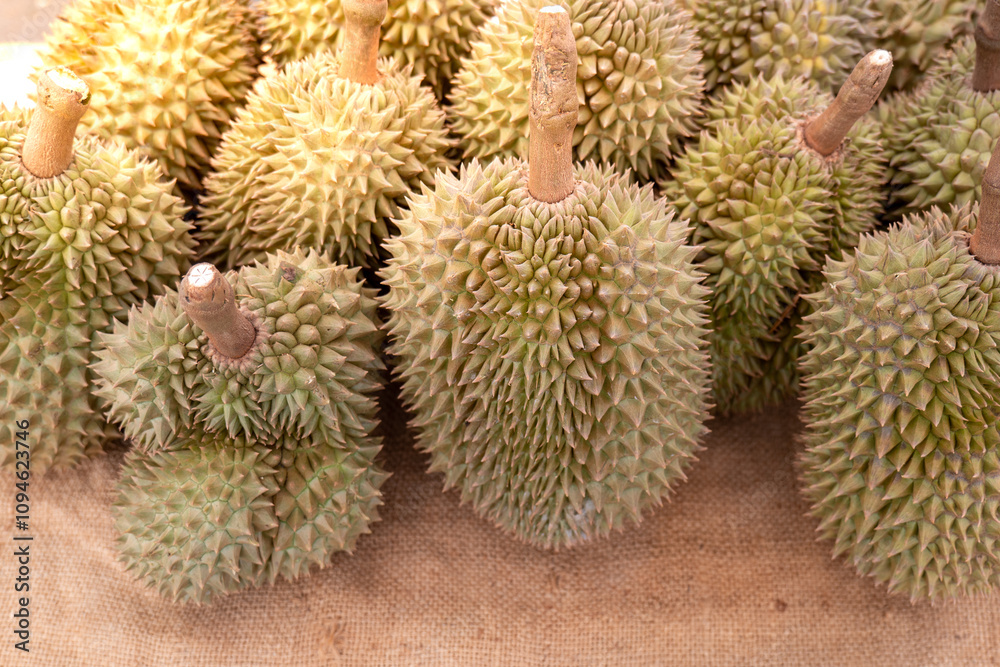 Fresh durians. Durians for sale. Durian King of fruit. Fresh durian fruit on floor, Tropical of Asian fruit. Fresh durians. Durians for sale. Durian King of fruit. Fresh durian fruit on floor, Tropical of Asian fruit.