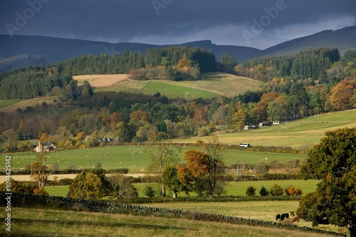 Autumn in the Shire, Rural landscape in Peeblesshire, Scottish Borders. photo