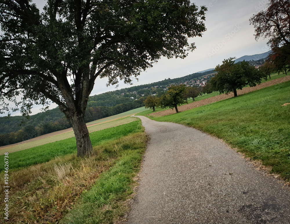 Road in the countryside. Narrow road between villages in Solothurn Canton. Single lane road in rural area amid trees and fields. Road in the countryside. Narrow road between villages in Solothurn Canton. Single lane road in rural area amid trees and fields.