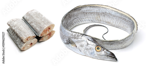 asian ribbon fish on white background	