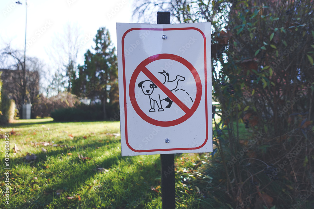 A sign prohibiting dog pooping, displayed in a park with green grass, trees, and a peaceful outdoor setting.