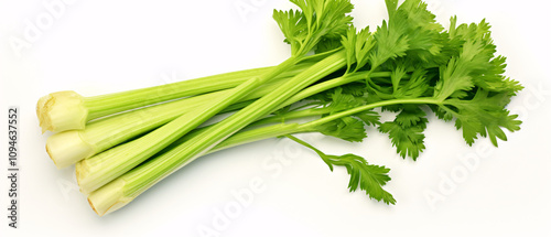 Fresh celery stalks arranged on a white background, showcasing vibrant green color and crisp texture. photo