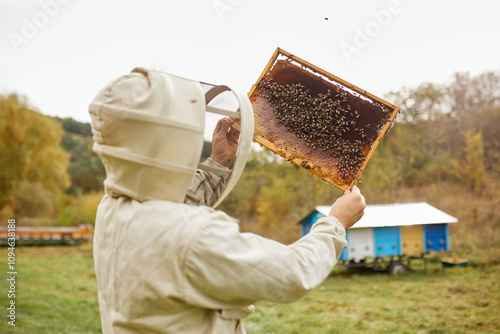 Beekeeper holding a frame with honeycombs and bees in his hands against the background of a beautiful autumn landscape.