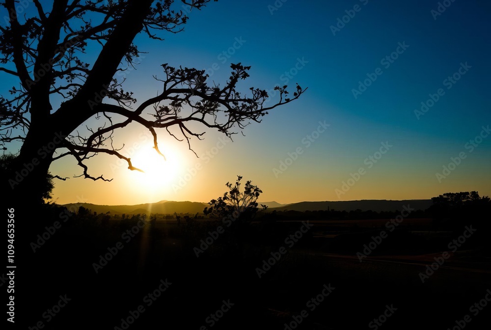 _ . Shadow Silhouette Landscape Frame a landscape scene where th _ . Shadow Silhouette Landscape Frame a landscape scene where th