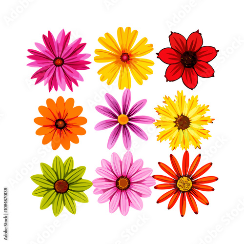 Collection of realistic daisies vector illustration (7)