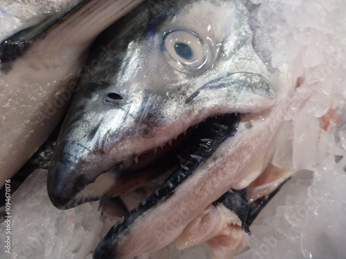 Giant fish head on ice at the market