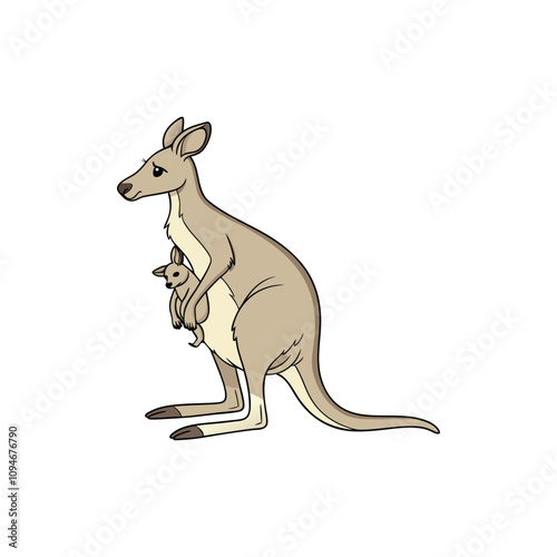 kangaro vector art and illustration