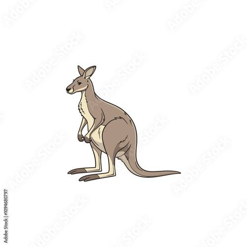 kangaro vector art and illustration