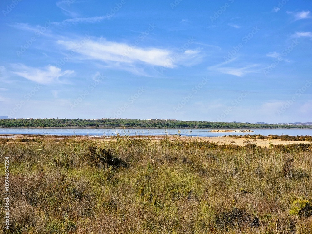 Der Salzsee von La Mata, umgeben von weitläufiger Landschaft, in der hohe Gräser und Pflanzen das Bild im Vordergrund prägen und eine natürliche, ruhige Atmosphäre schaffen. Der Salzsee von La Mata, umgeben von weitläufiger Landschaft, in der hohe Gräser und Pflanzen das Bild im Vordergrund prägen und eine natürliche, ruhige Atmosphäre schaffen.