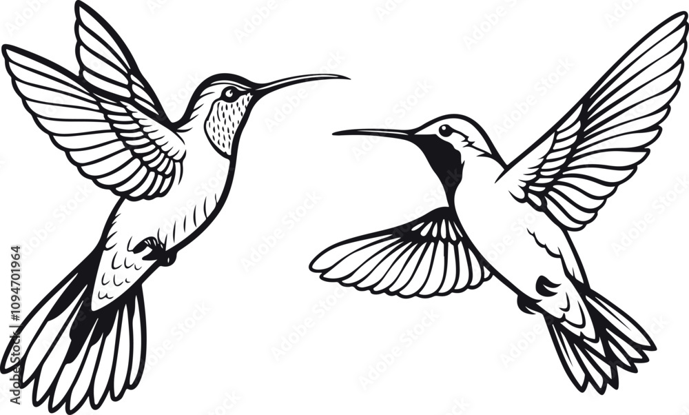Obraz premium Humming Bird Silhouette vector