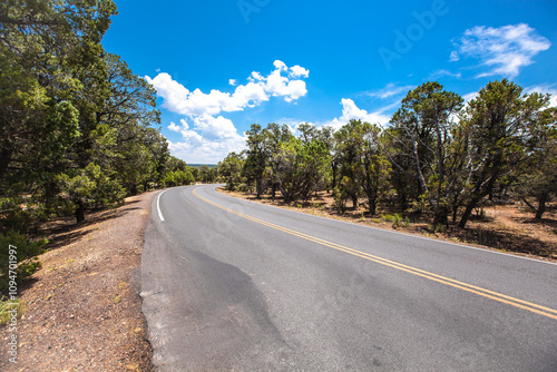 Road to Grand Canyon South Rim , USA