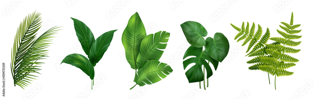 custom made wallpaper toronto digitalPlant of tropics. 3D leaves of Monstera, banana, fern and palm tree composition. Green exotic foliage bouquet. Botanical garden decoration element. Vector jungle tropical realistic isolated elements