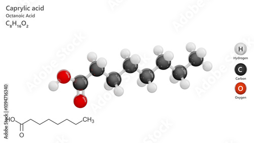 Molecule: Caprylic Acid or Octanoic acid. Molecular structure. Formula: C8H16O2. Chemical model: Ball and stick. White background. 3D illustration. photo