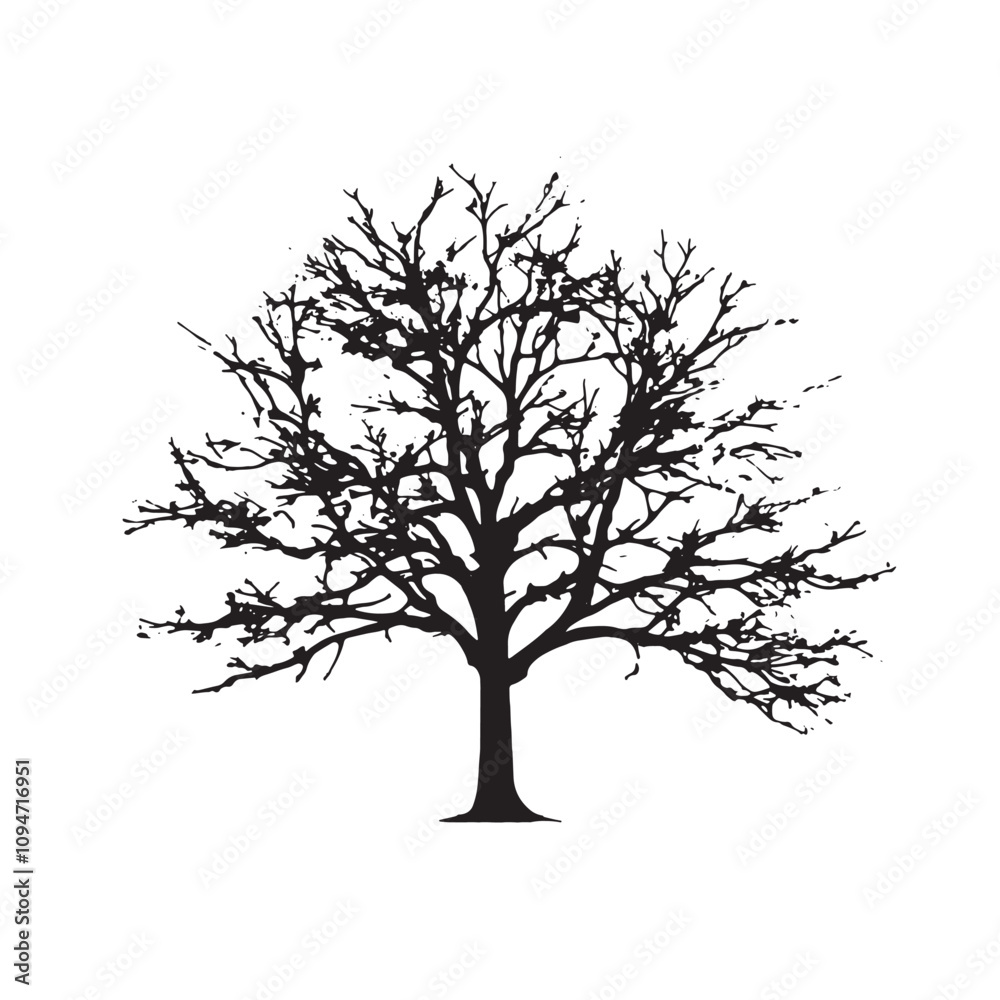 Obraz premium Majestic Beech Tree Silhouette on Clean White Backdrop