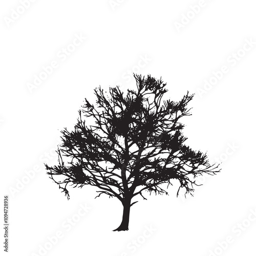 Beech Tree Silhouette Graphic for Creative Projects