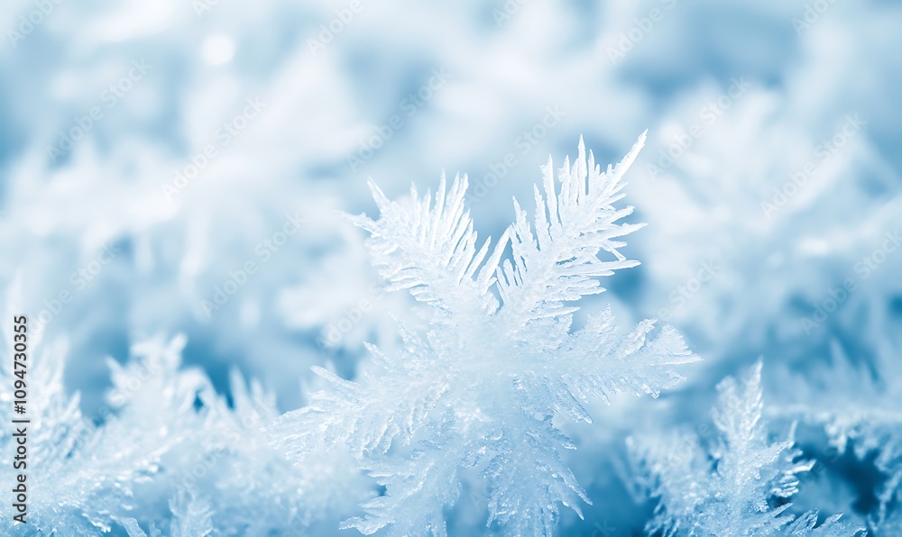 acks. Winter seasonal background, mock up, flat lay, ice texture acks. Winter seasonal background, mock up, flat lay, ice texture