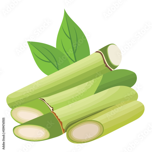 Green Bamboo Branches with Leaves Illustration Isolated on White Background