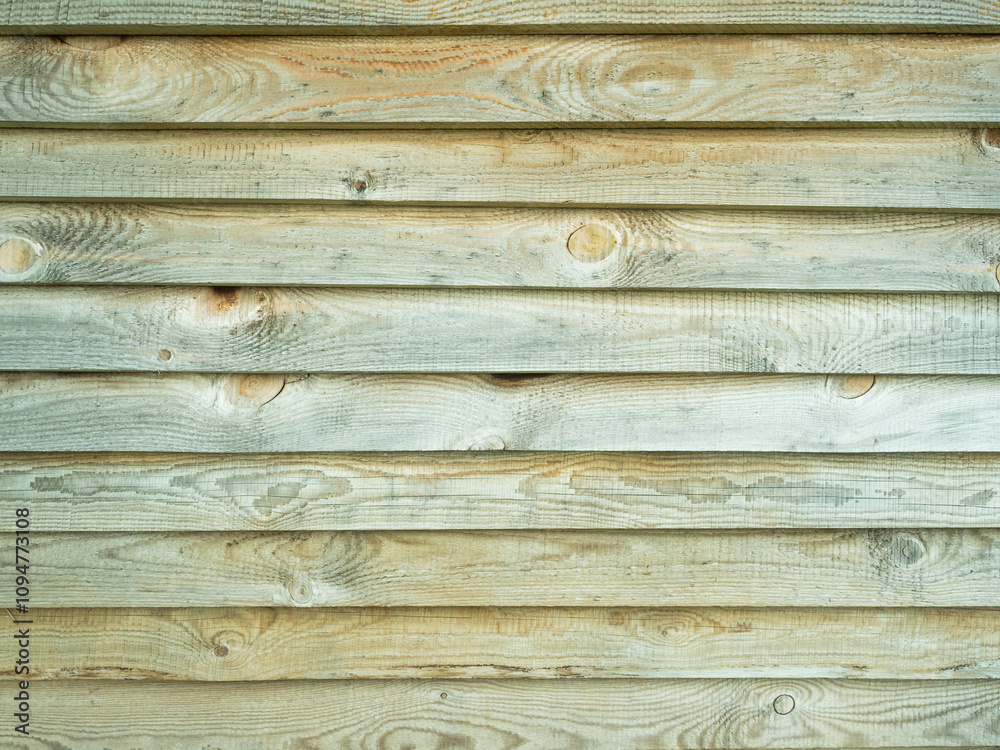 Obraz premium background with the texture of natural untreated wood.