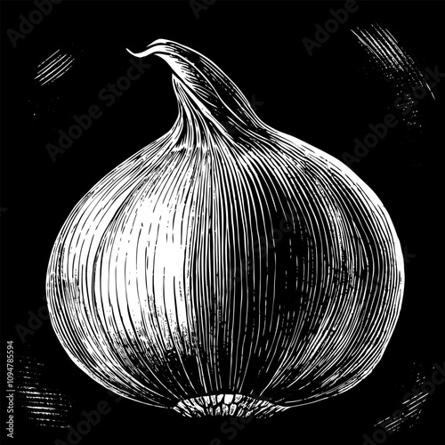 A drawing of a large white onion with a pointed stem