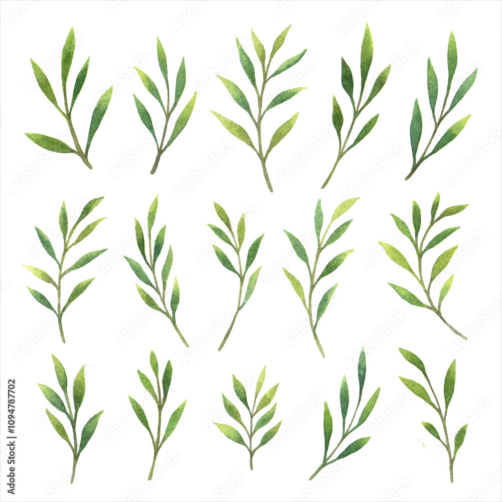 Obraz premium Big set of colorful abstract leaves, watercolor isolated illustration, vegetable print for greeting and invitation cards.