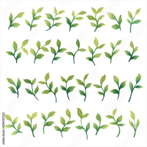 Big set of colorful abstract leaves, watercolor isolated illustration, vegetable print for greeting and invitation cards.