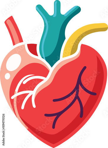 Human internal organ with heart