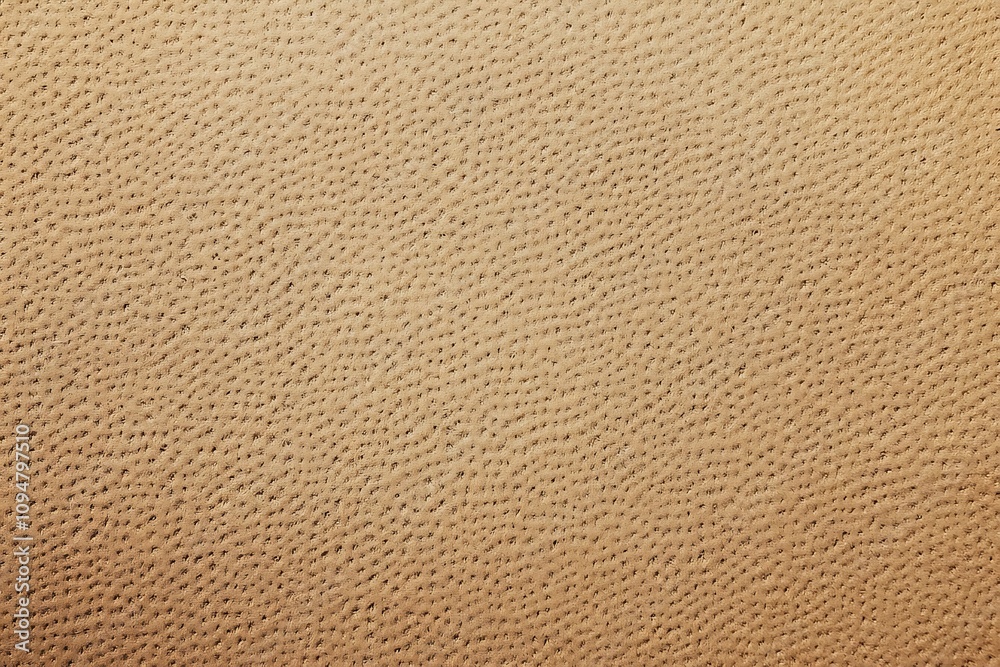 Brown Cardboard Texture Brown Cardboard Texture