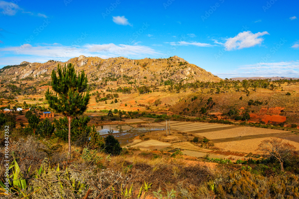 Fototapeta premium Paysage des hautes-terres de Madagascar