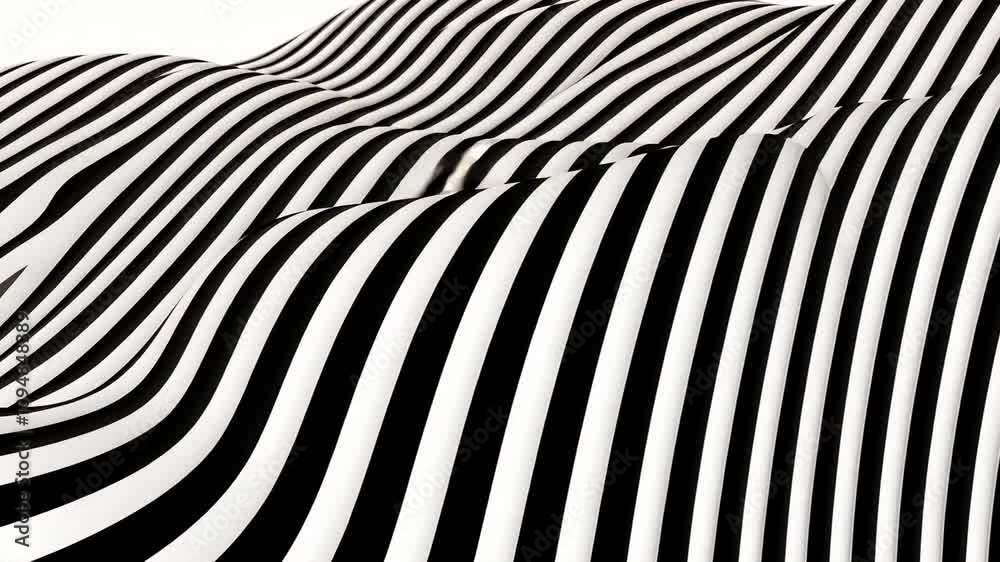 Zebra Stripes Pattern Detailed Texture Zebra Stripes Pattern Detailed Texture