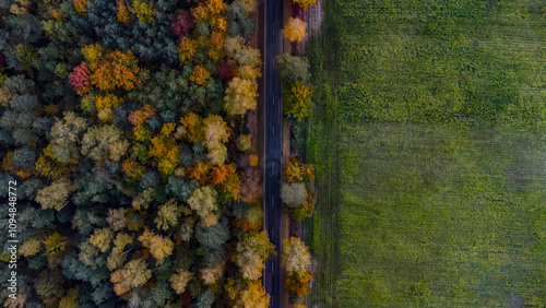 A road beetwen a field and a forest in autumn aura photo