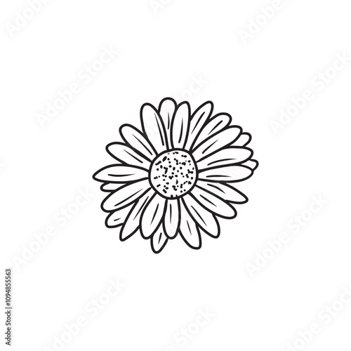 An elegant and beautiful daisy chrysanthemum flower in black isolated on white background. Hand drawn vector sketch illustration in doodle engraved vintage line art style. Coloring book, plant
